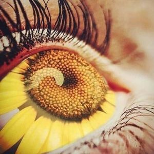 Meet your Posher, Suzanne